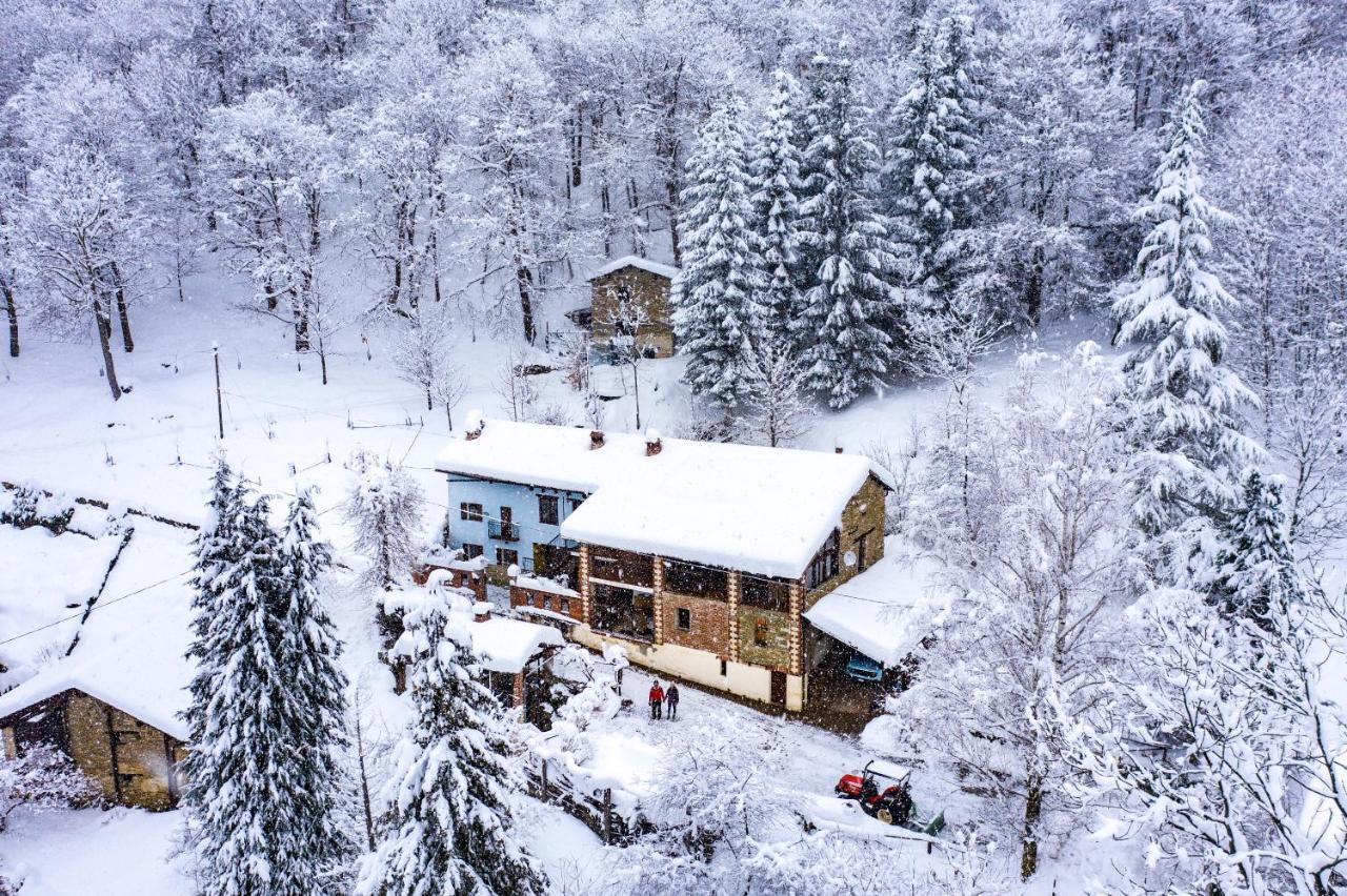 Iduevagamondi - Ospitalita Rurale Famigliare Di Montagna Chiusa di Pesio Exterior foto